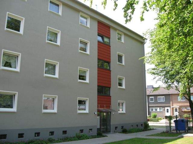 image-69912565