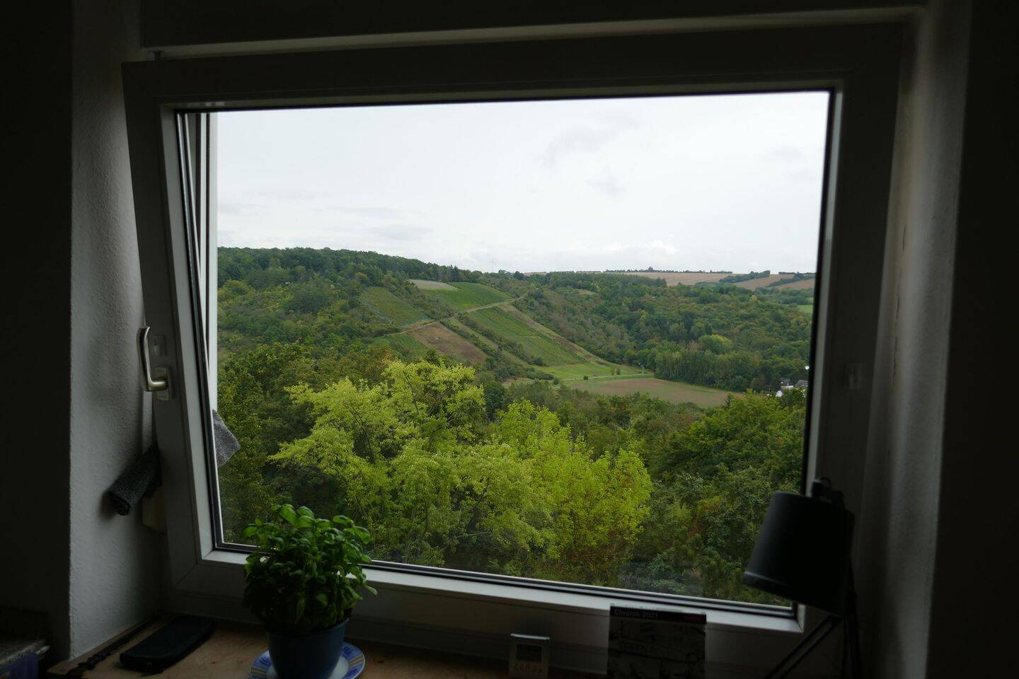 Bild 1