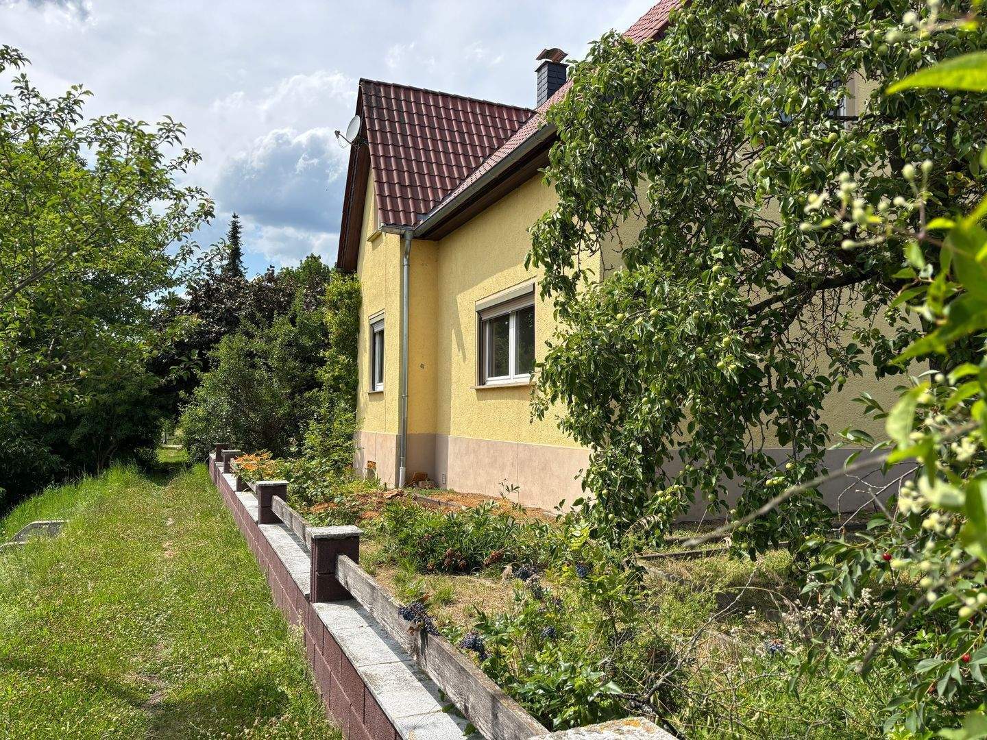 image-69932958