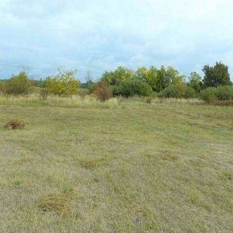image-69955641