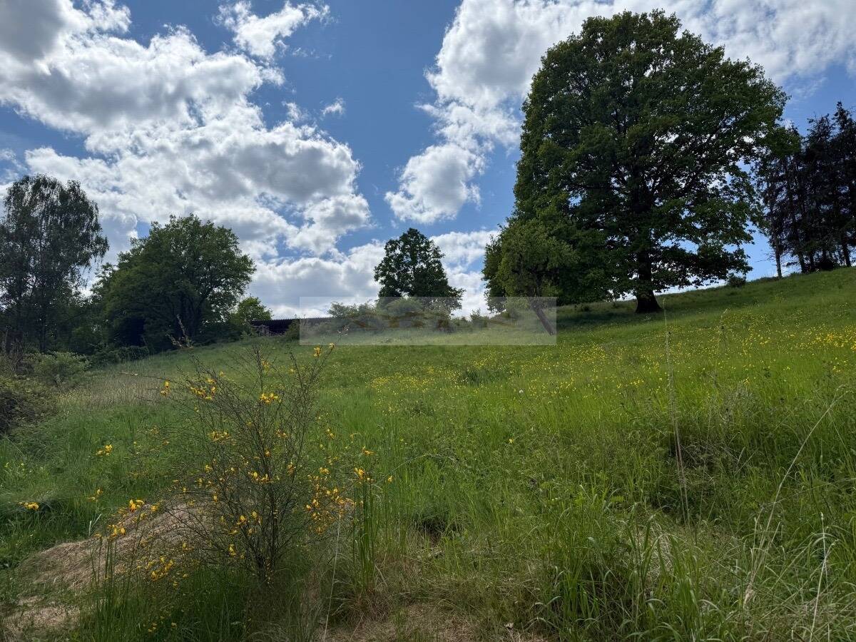 image-69957081