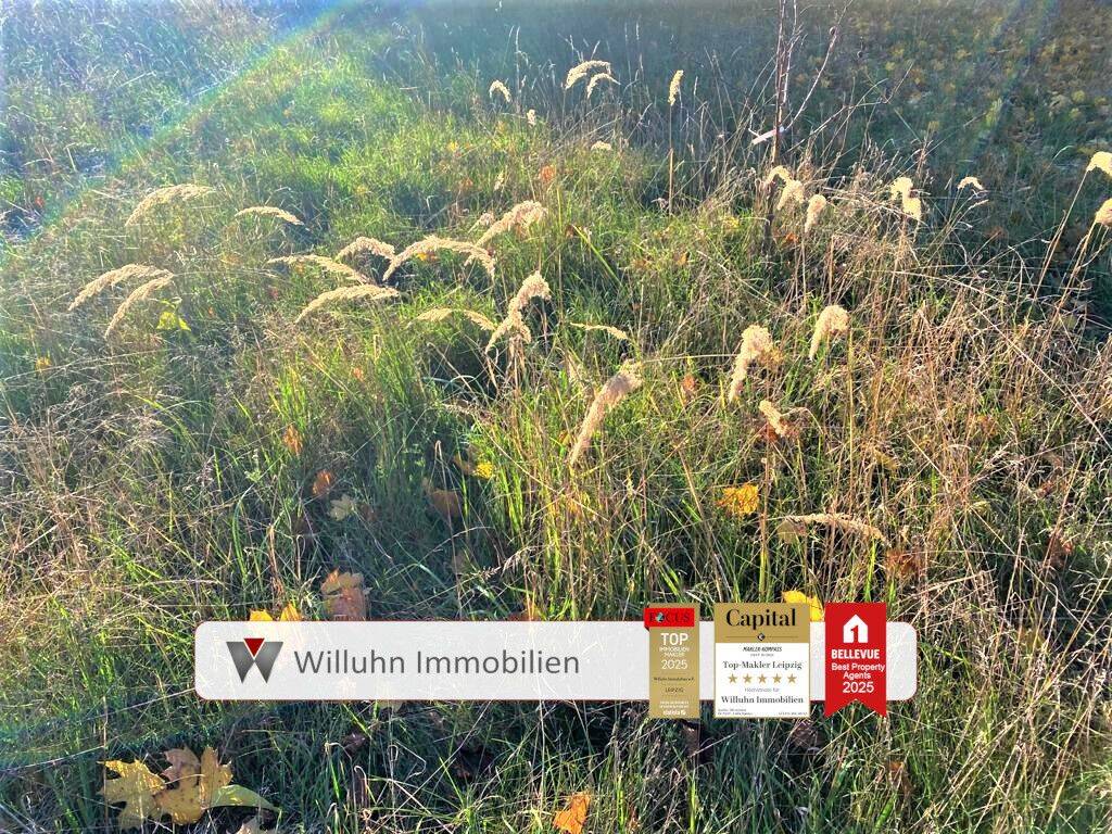 image-69957558