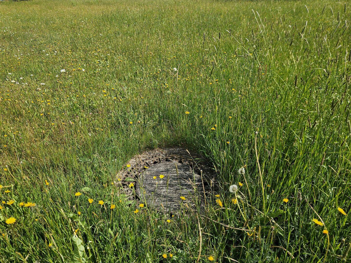 image-69958194