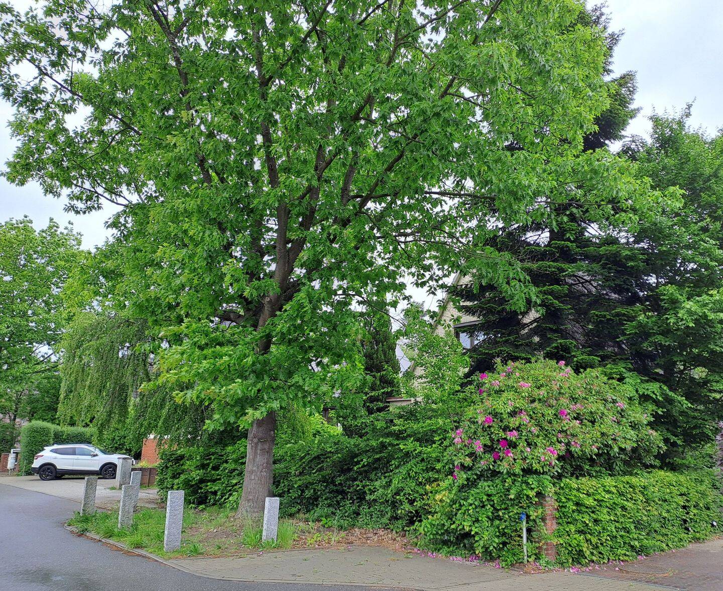 image-69958744