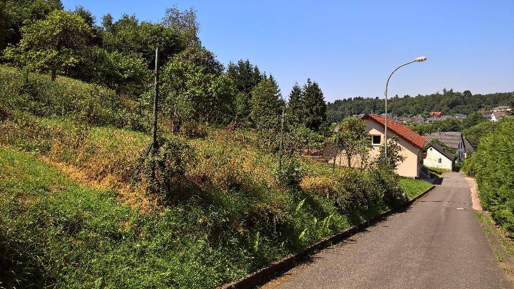 image-69962264