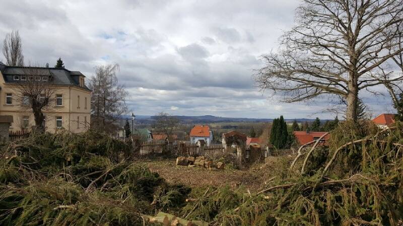 image-69962684