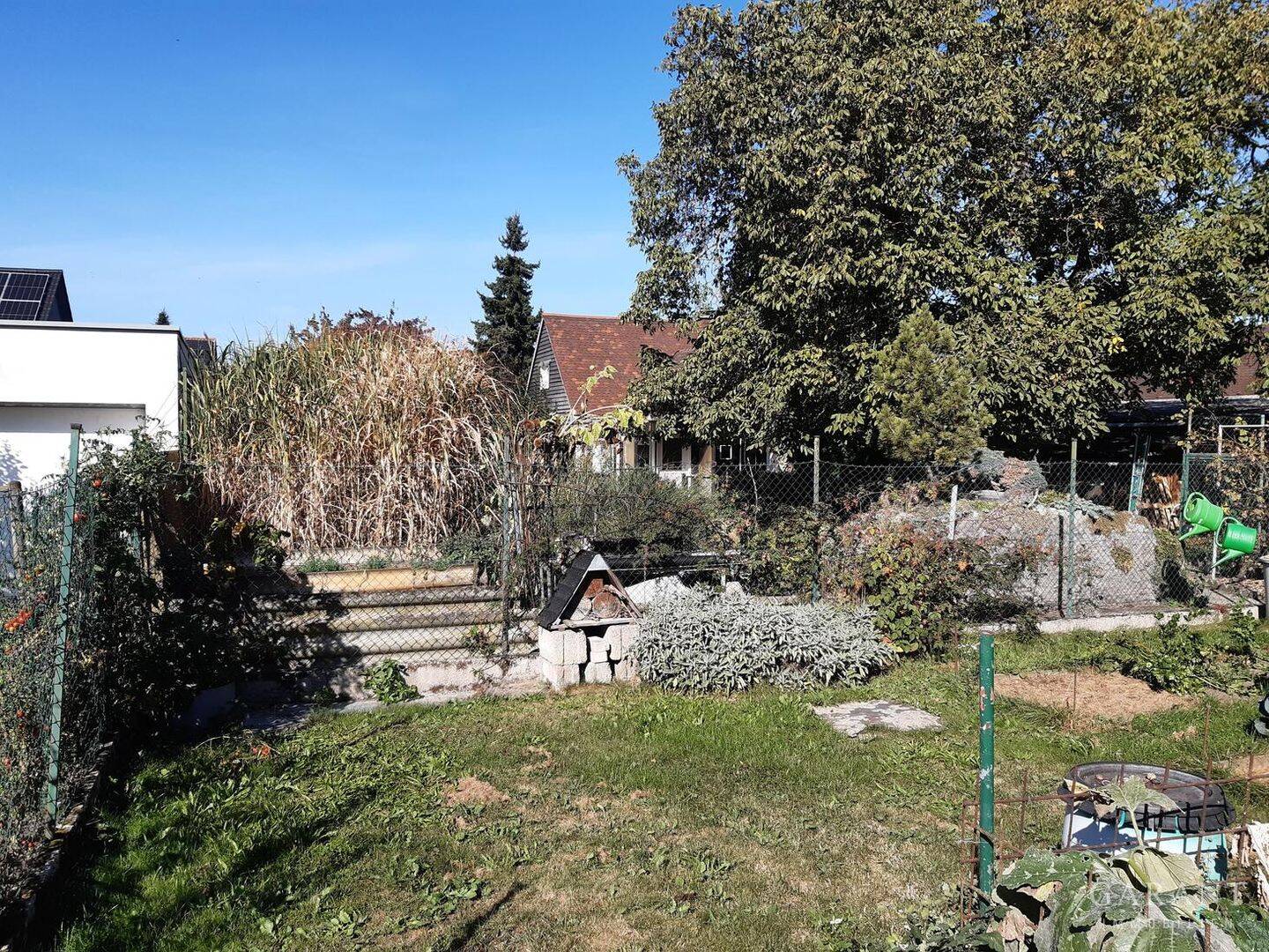 image-69965059