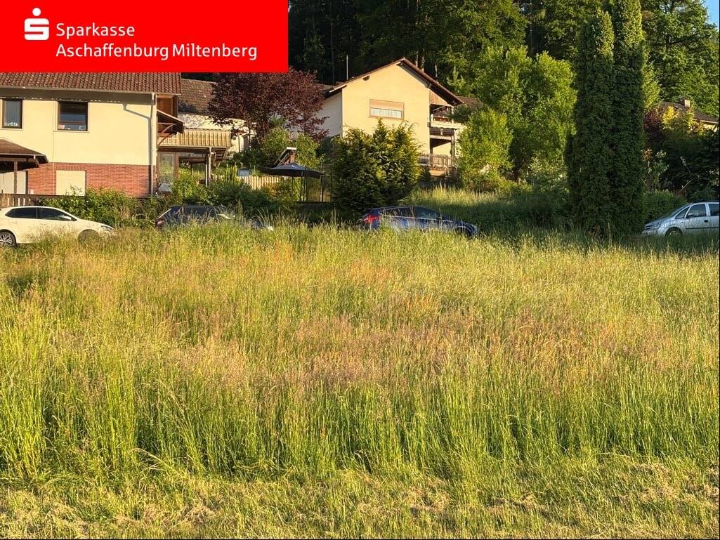 image-69965329