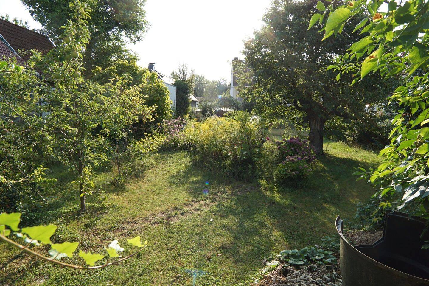 image-69965962