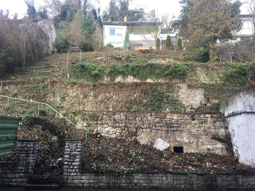 image-69967328