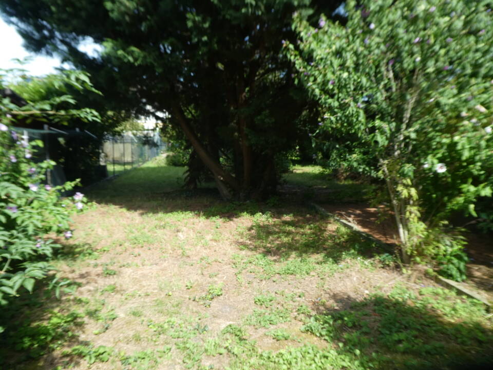 image-69969084