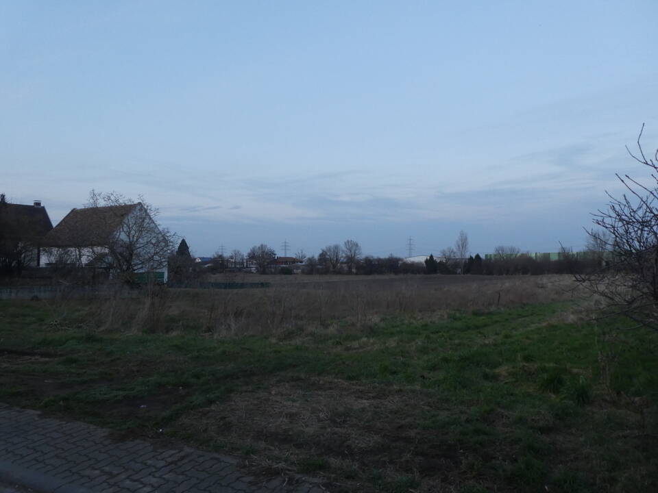 image-69969063