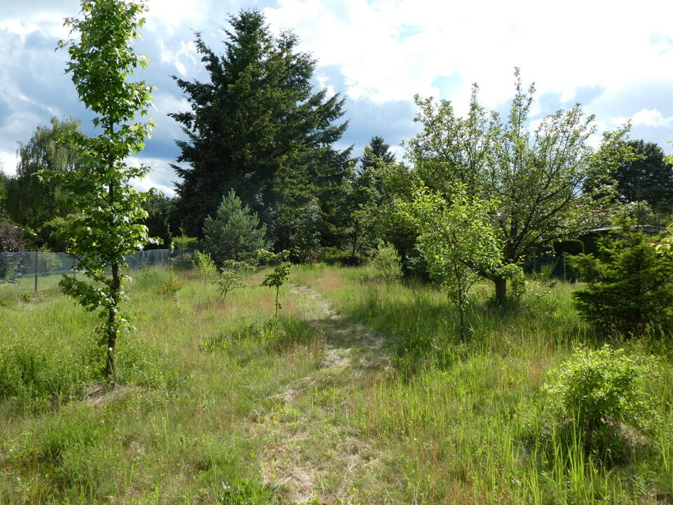 image-69969167