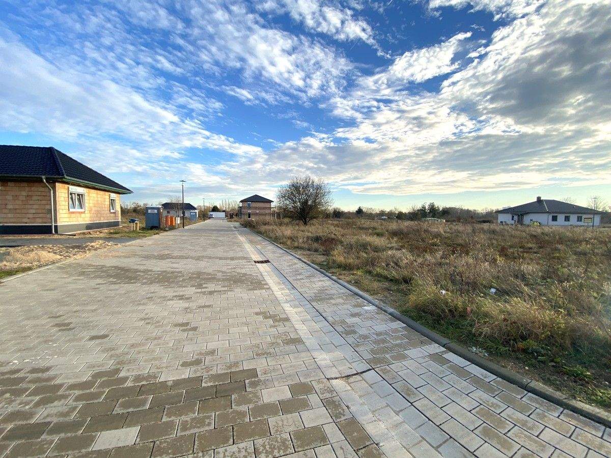 image-69969289