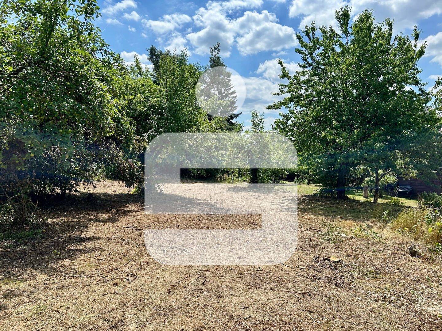 image-69969412