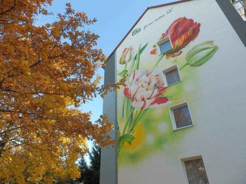 image-69969677