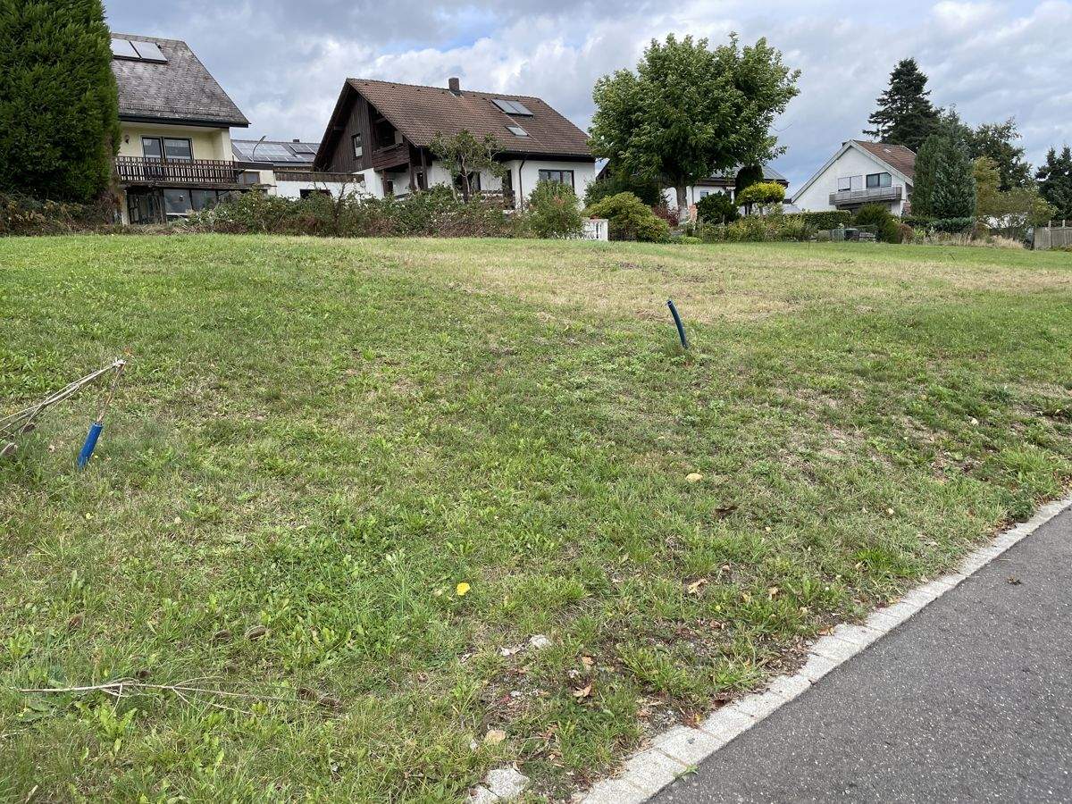 image-69969755