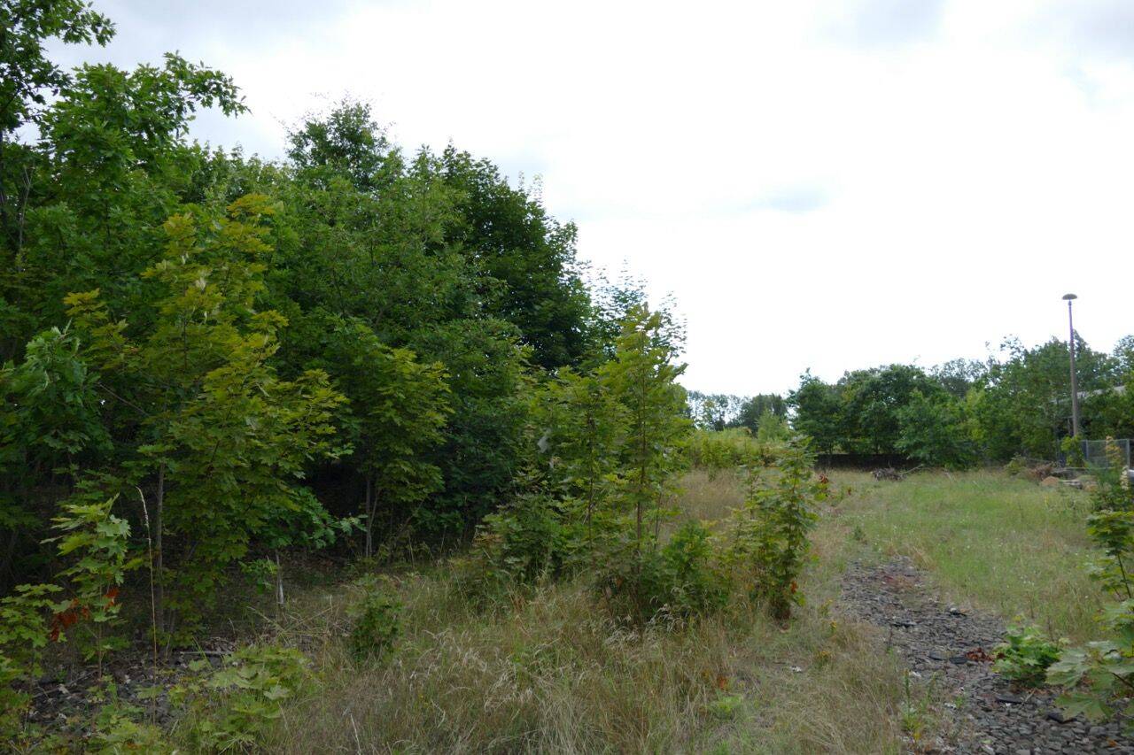 image-69970994