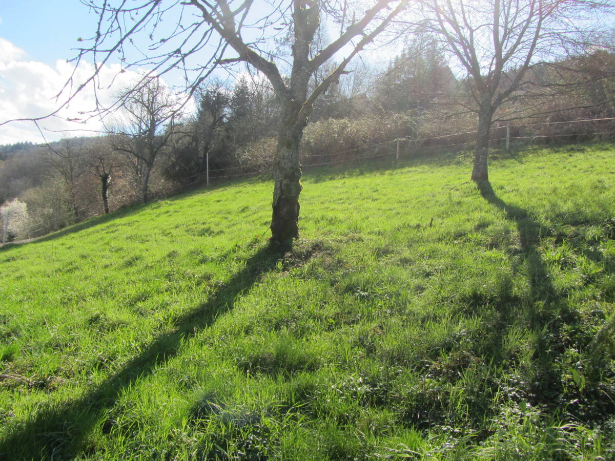 image-69971881