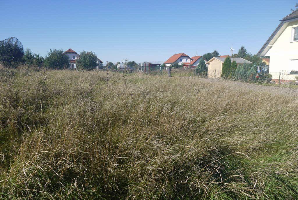image-69972046