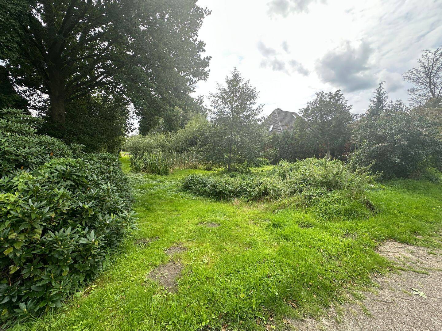 image-69974170