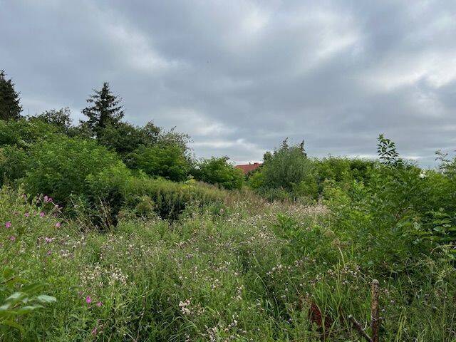 image-69974391