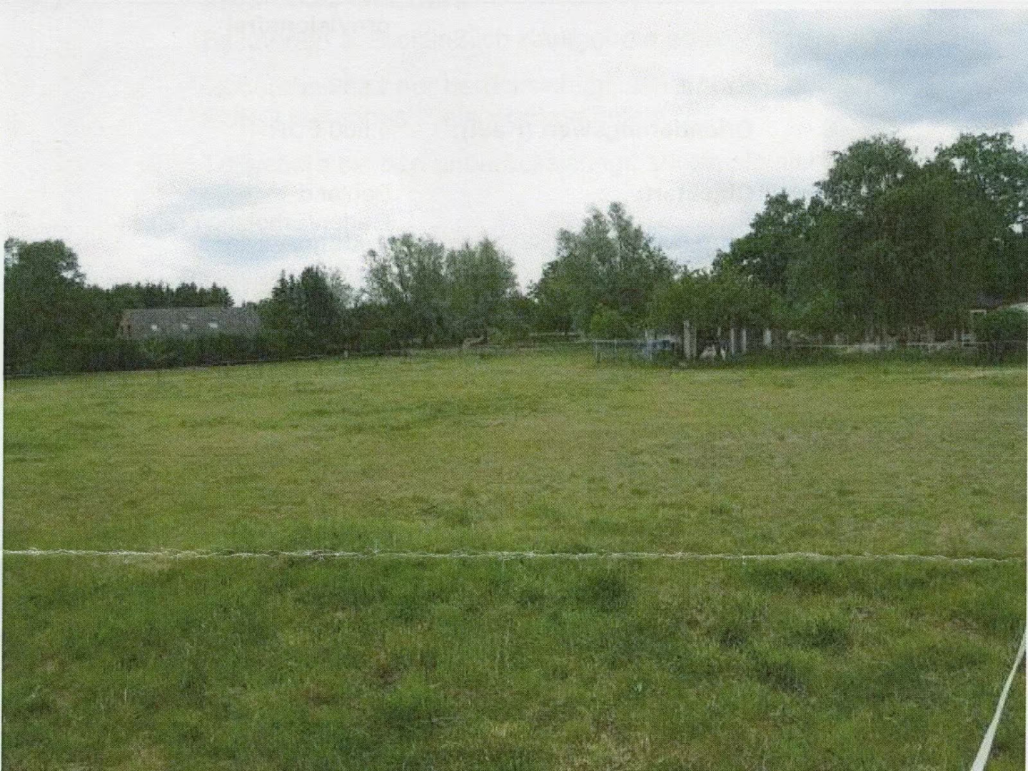 image-69976204