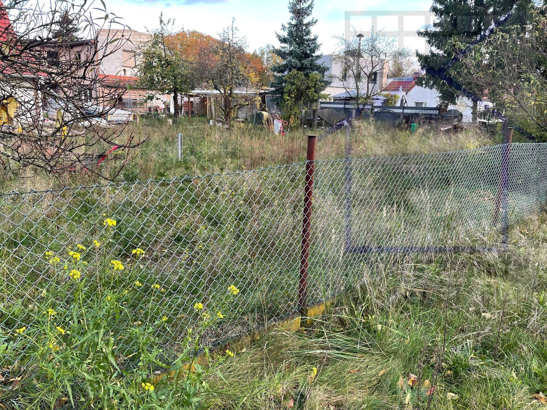 image-69979707