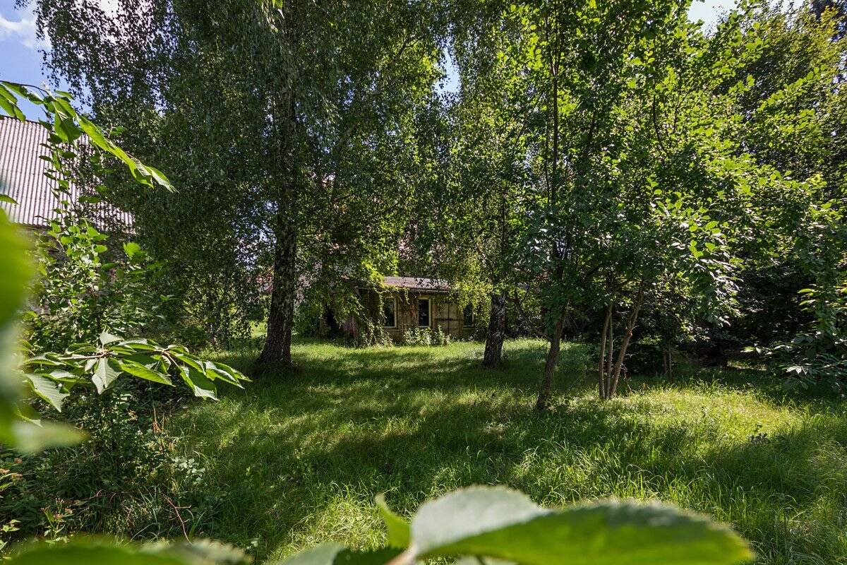 image-69979830