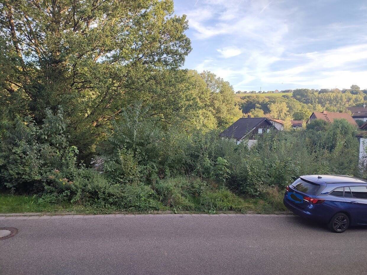 image-69980171