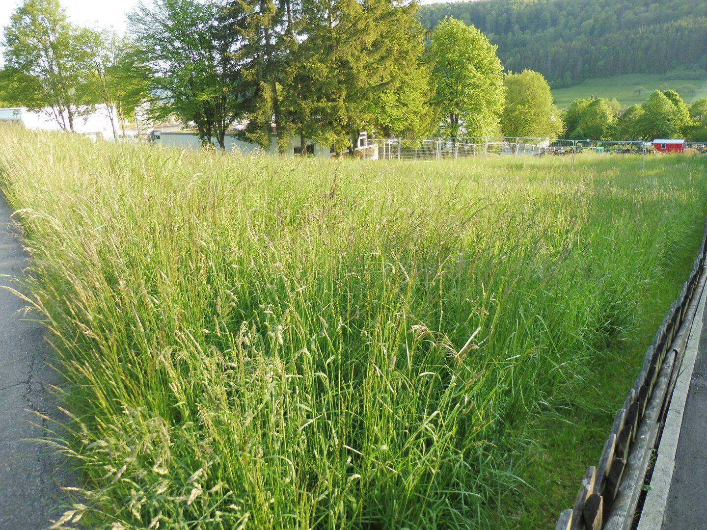image-69981037