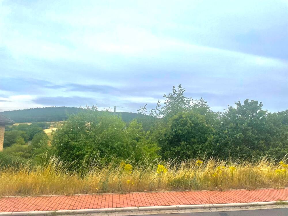 image-69982293