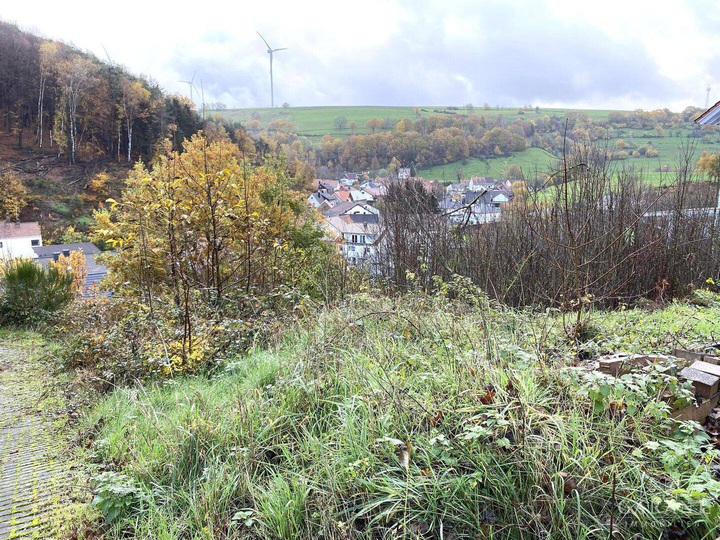 Bild 1