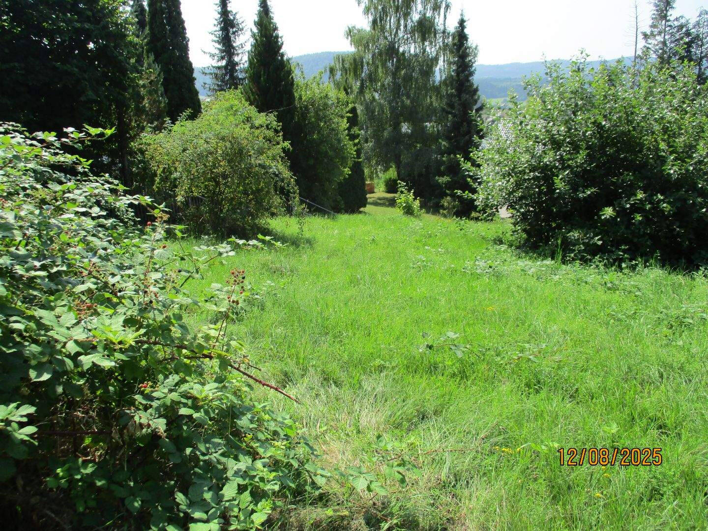 image-69983560