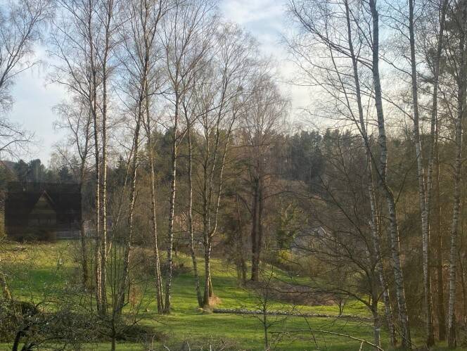 image-69984686