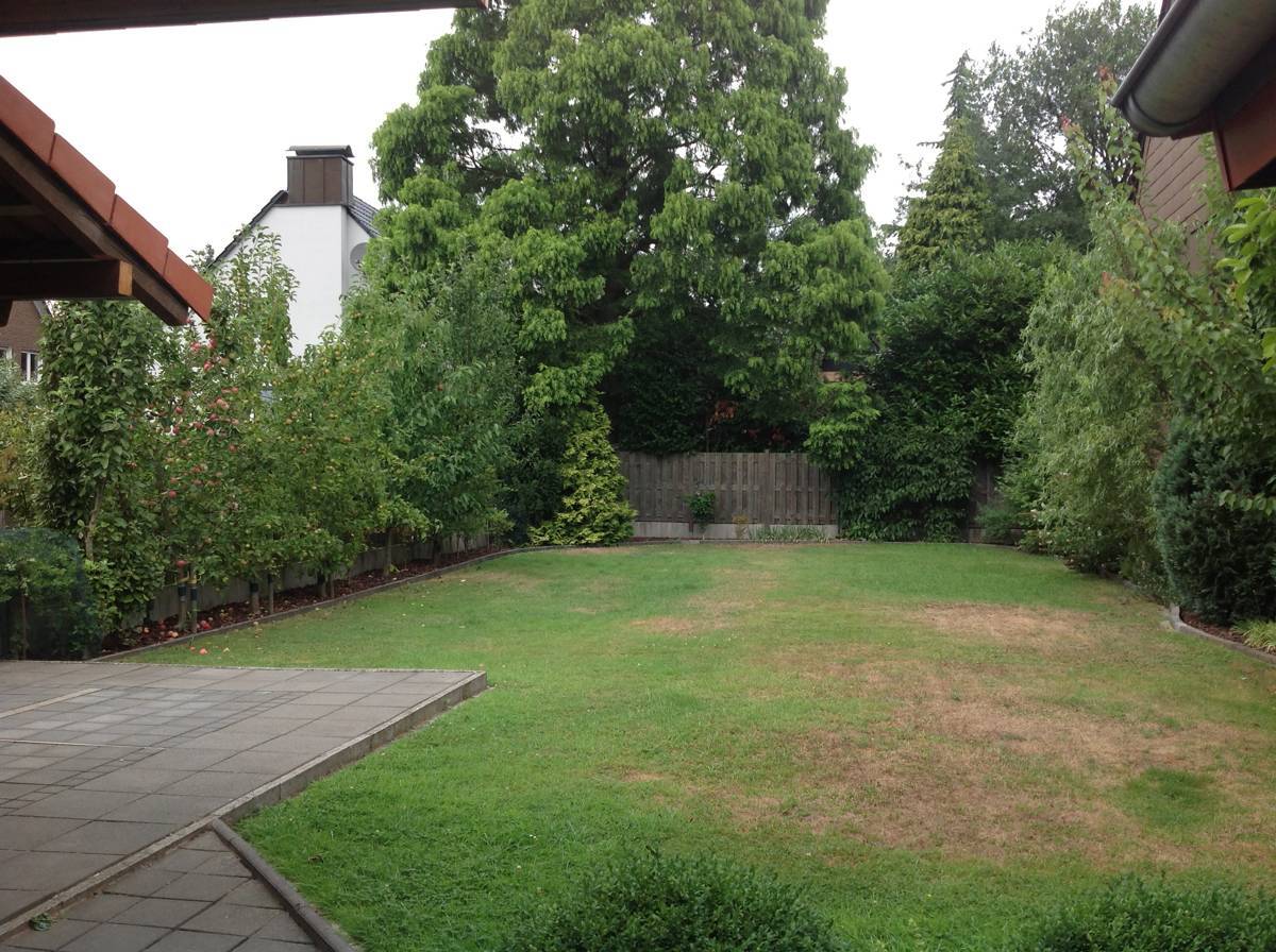 image-69984921