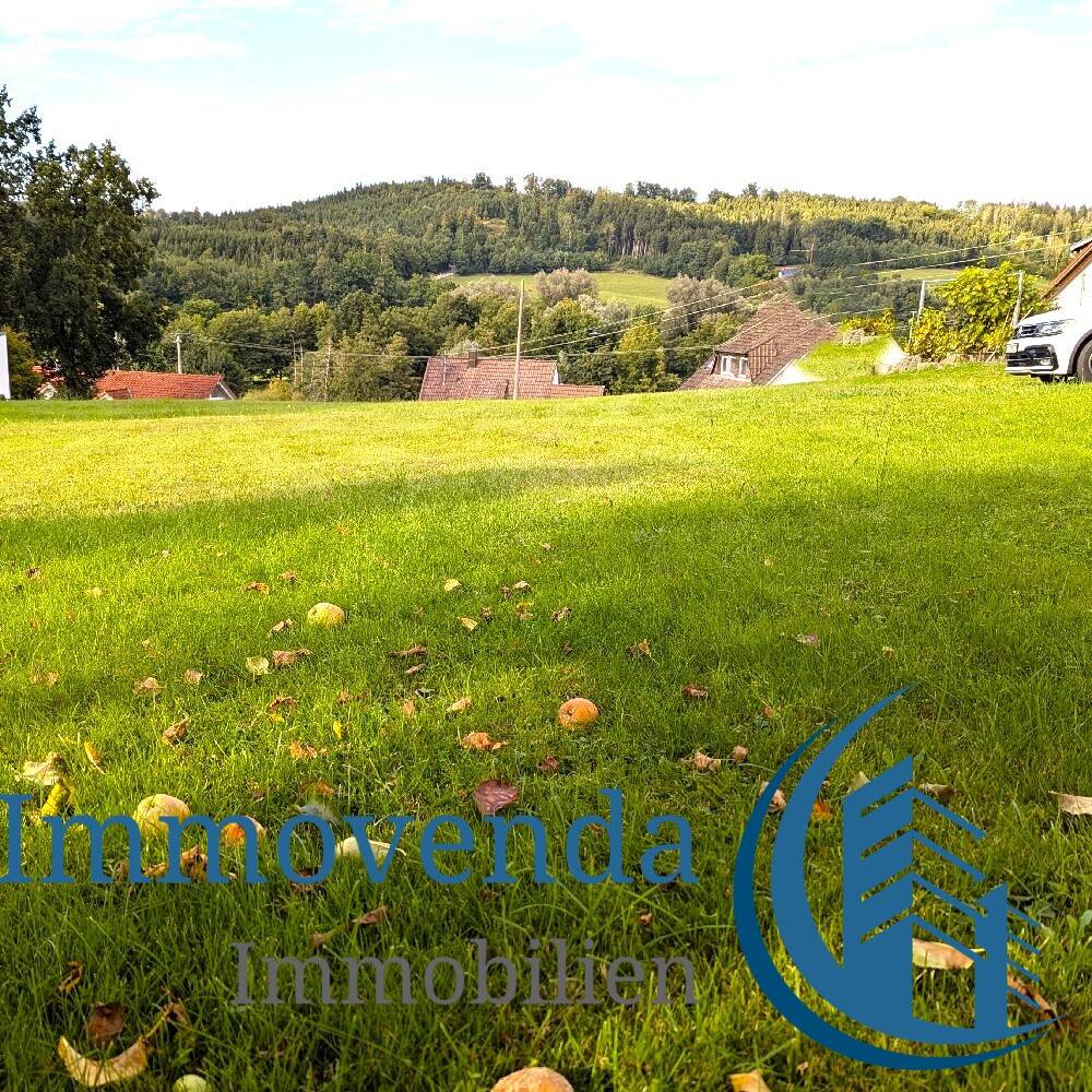 image-69984983