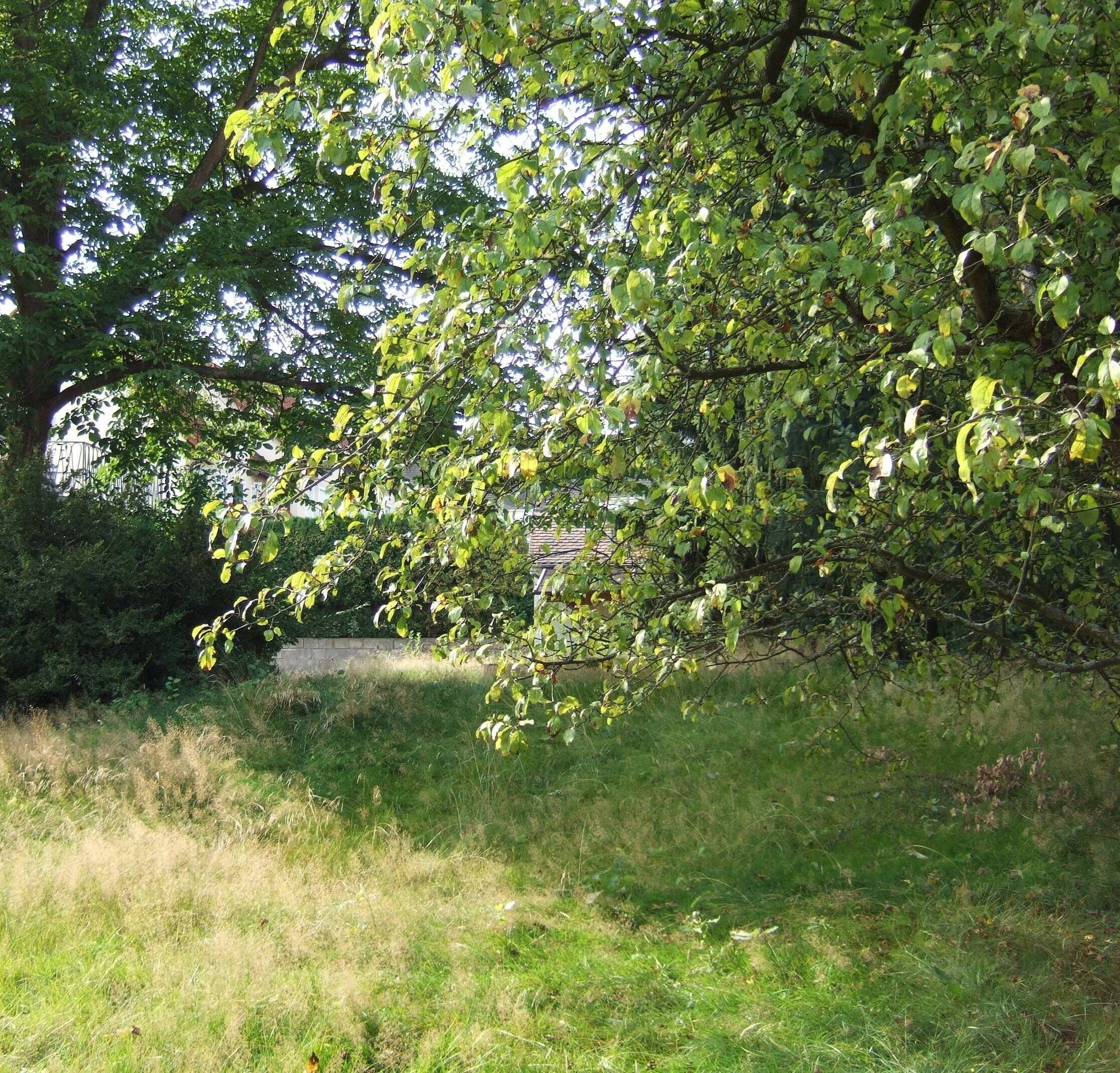 image-69985910