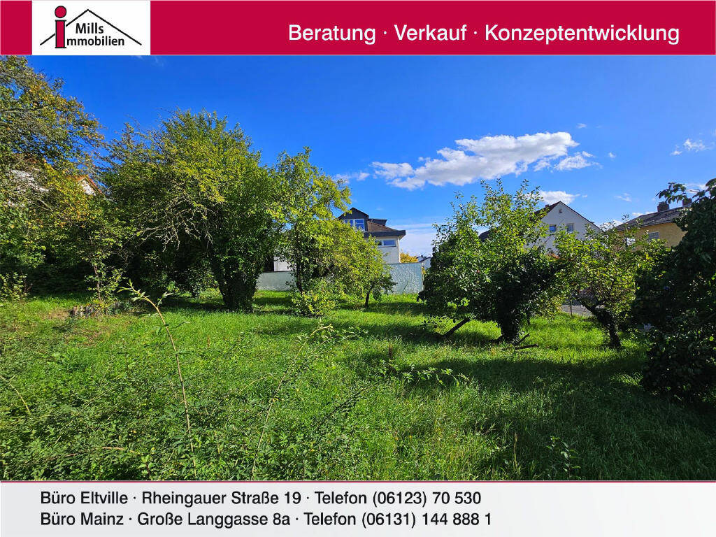 image-69986424