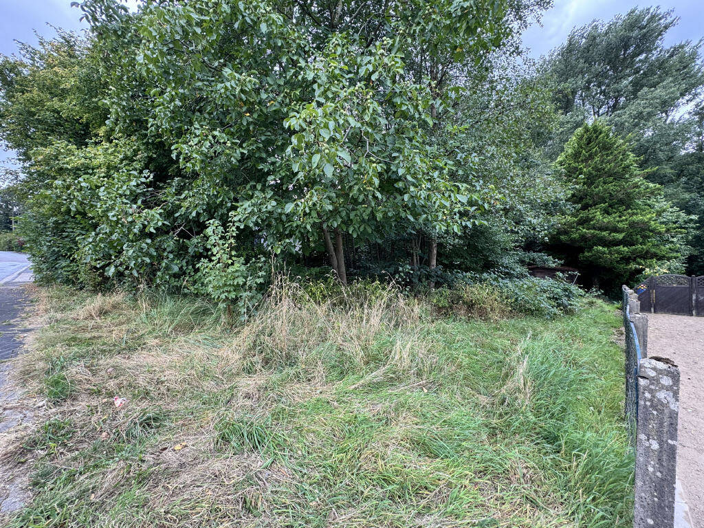 image-69986475