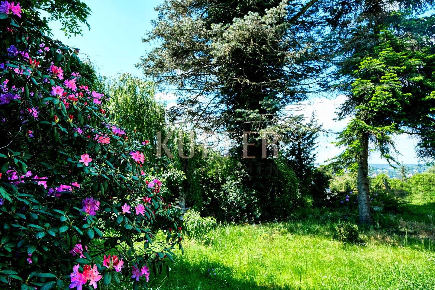 image-69992314