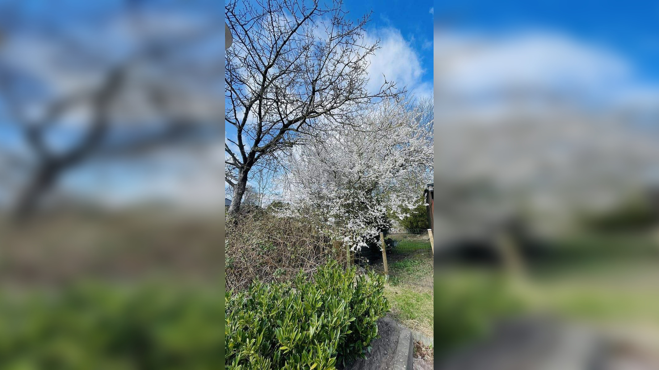 image-69993457