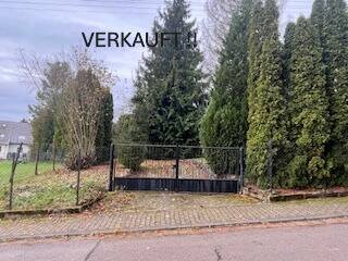 image-69994154