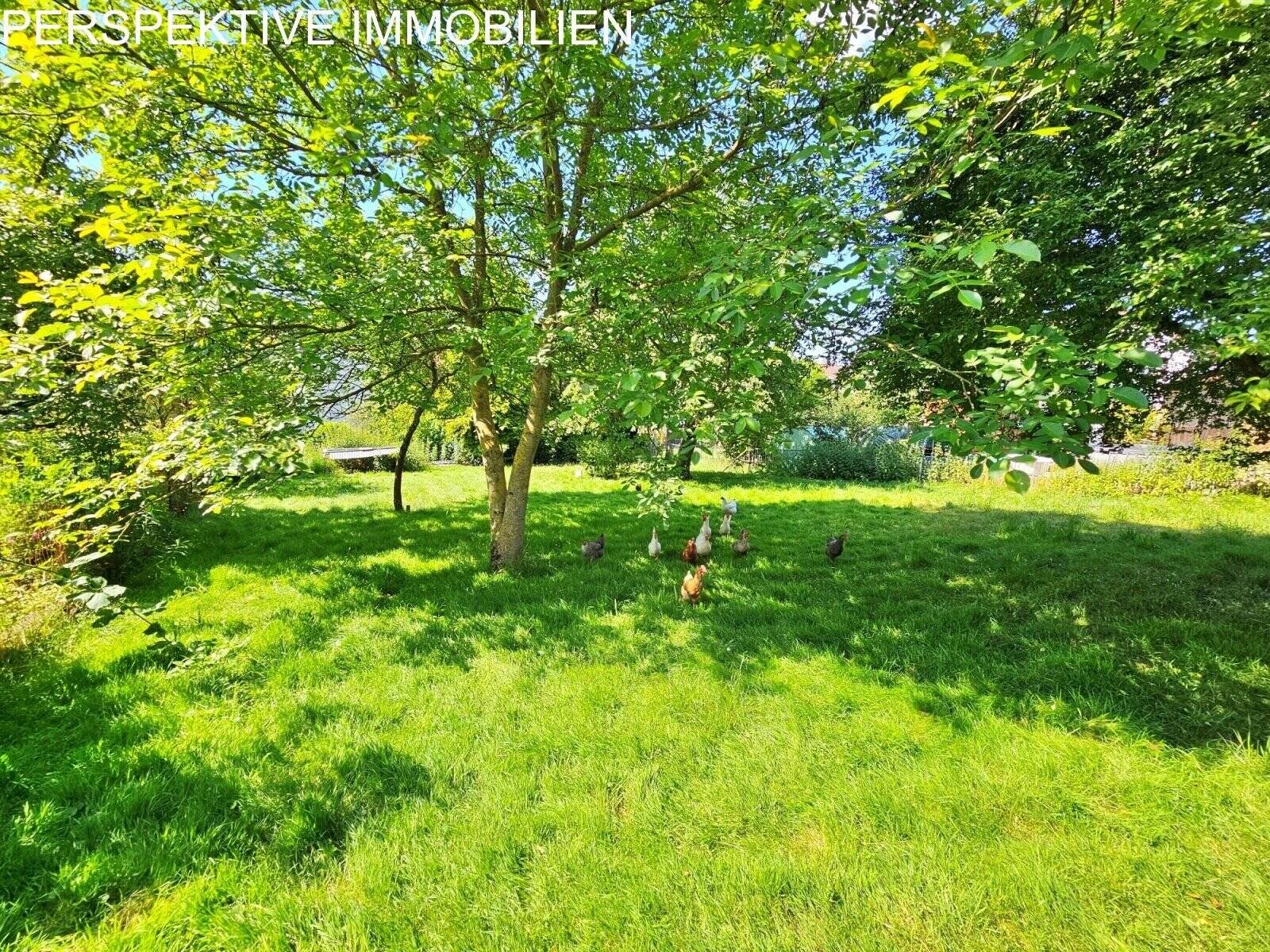 image-69994811