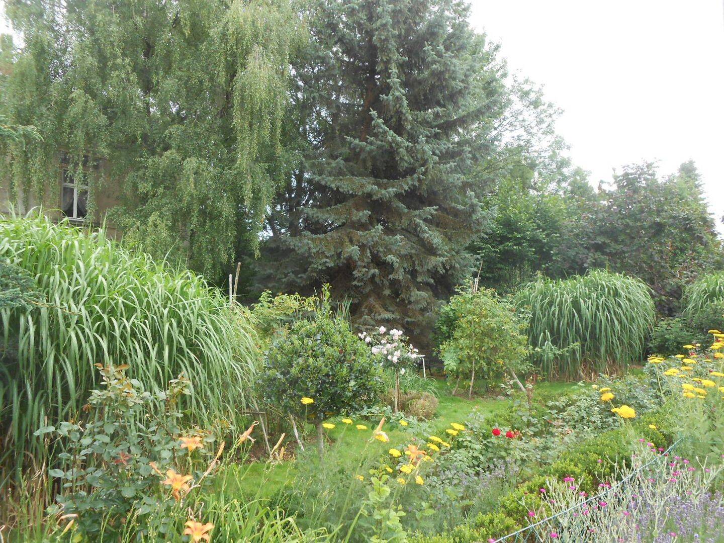 image-69995937