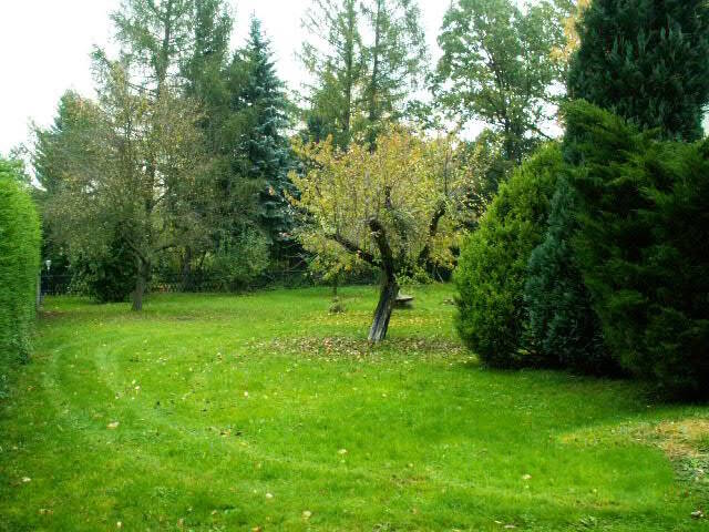 image-69996090