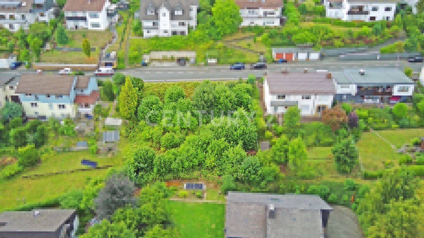 image-69996347