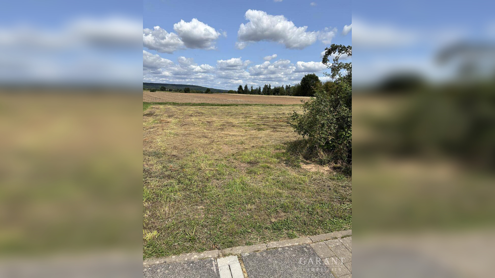 image-69996456