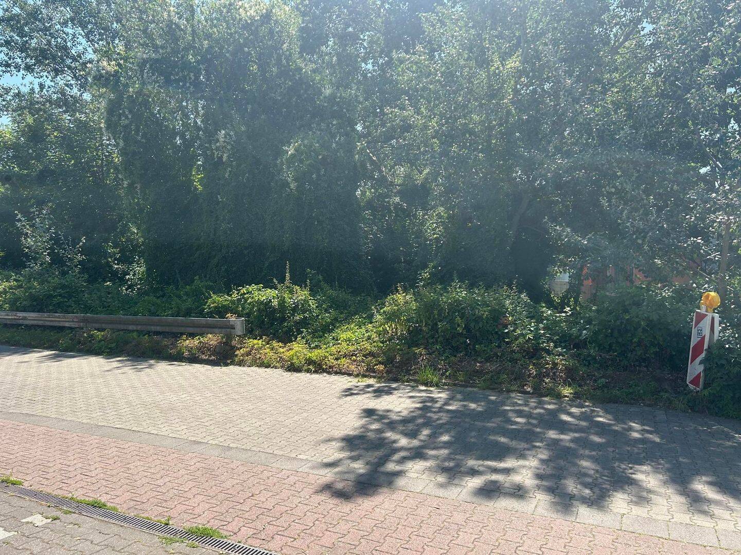 image-69998401
