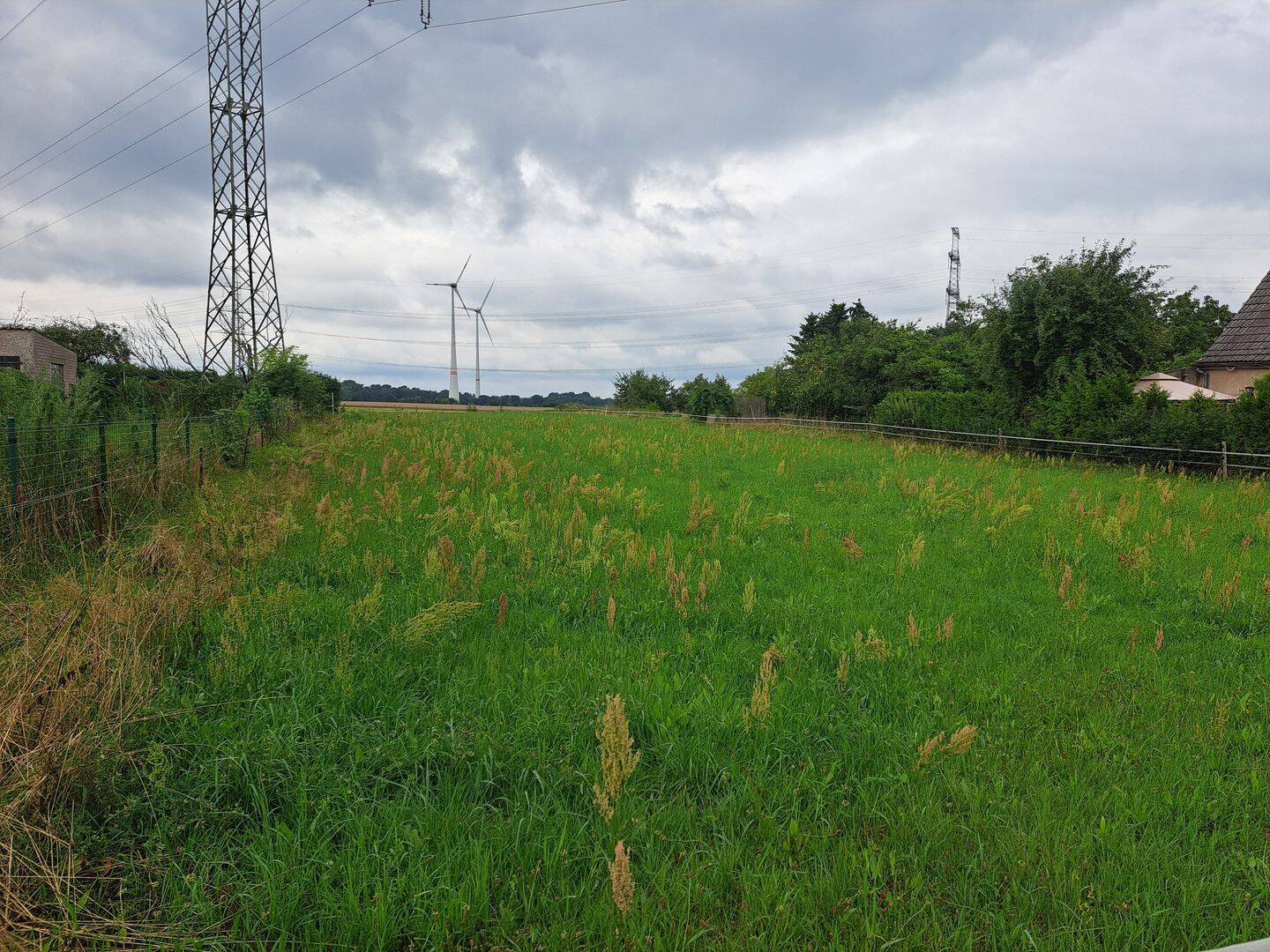 image-69998783